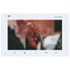 Slinex SM-07N Cloud 7" дюймів white Відеодомофон 99-00012644 фото 1